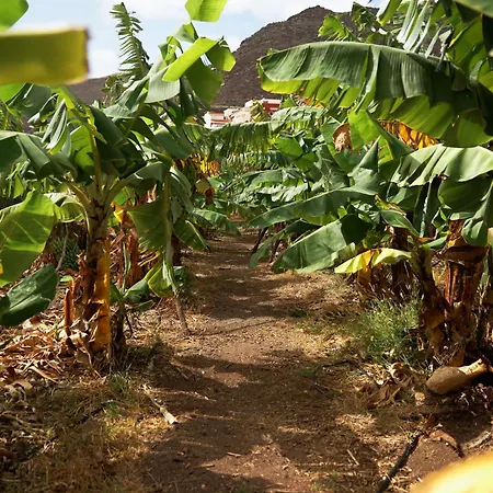 Ecologica Quinta Tizones, Casa Mango *