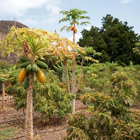 Ecologica Quinta Tizones, Casa Mango * Santa Cruz de Tenerife