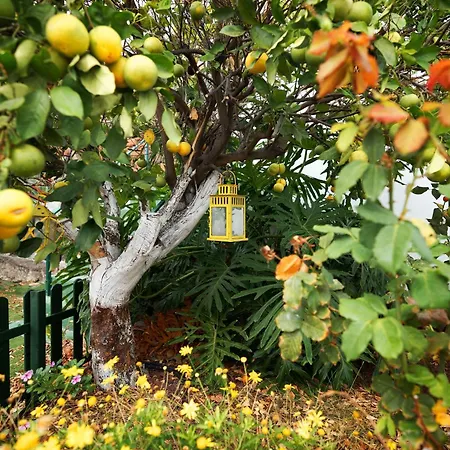 Ecologica Quinta Tizones, Casa Mango Apartment *