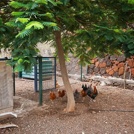Ecologica Quinta Tizones, Casa Mango Apartment